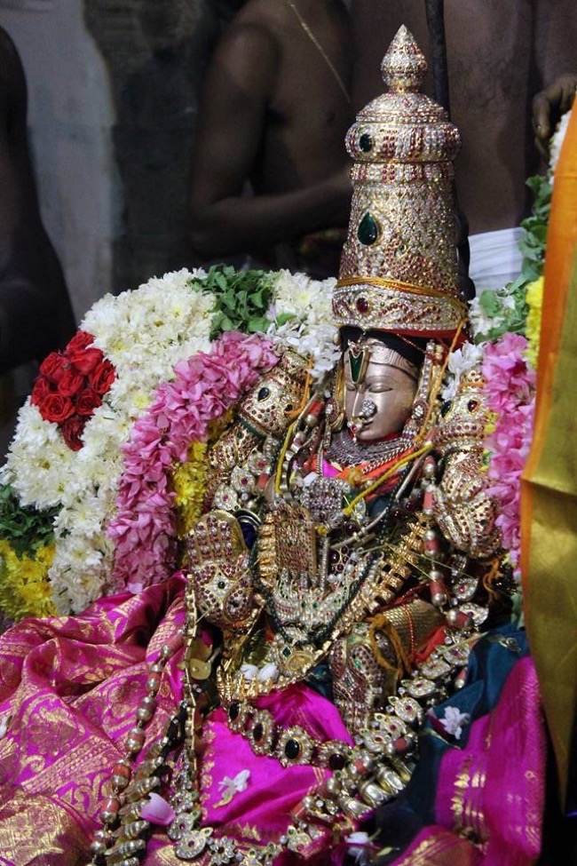 Thirucherai-Sri-Saranatha-Perumal2