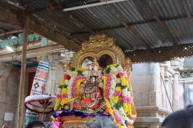Thirucherai-Sri-Saranatha-Perumal20