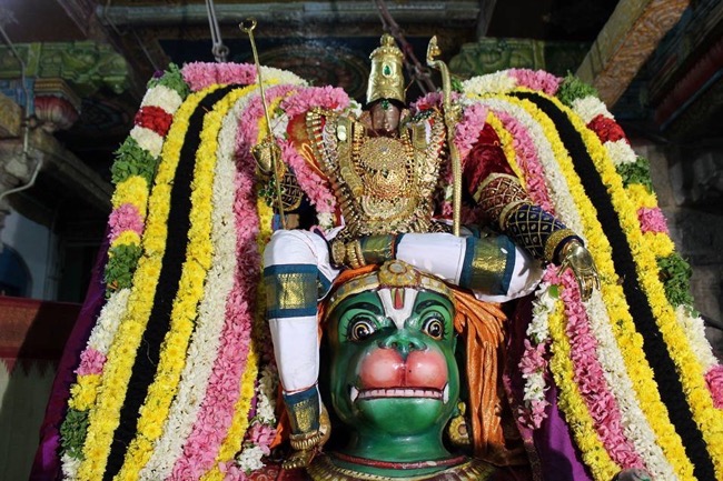 Thirucherai-Sri-Saranatha-Perumal22