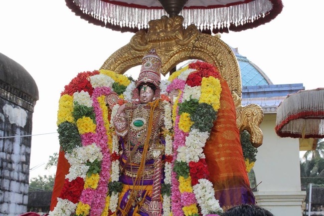 Thirucherai-Sri-Saranatha-Perumal24