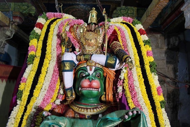 Thirucherai-Sri-Saranatha-Perumal4