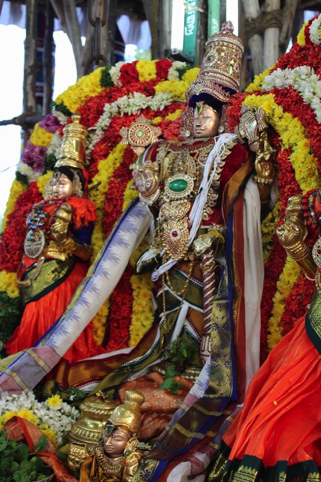 Thirucherai-Sri-Saranatha-Perumal_00