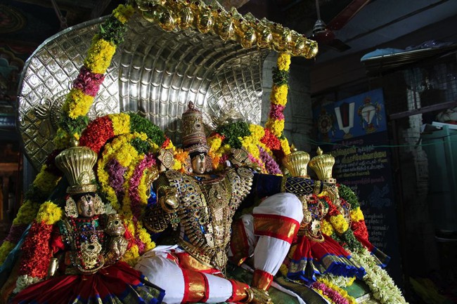 Thirucherai-Sri-Saranatha-Perumal_01