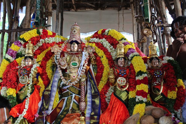 Thirucherai-Sri-Saranatha-Perumal_05