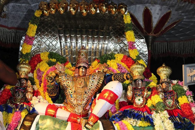 Thirucherai-Sri-Saranatha-Perumal_11