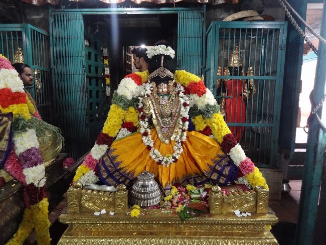 Thiruvahindrapuram Sri Devanathan Perumal Temple Makara Sankaranthi Purappadu - 2016-02.jpg