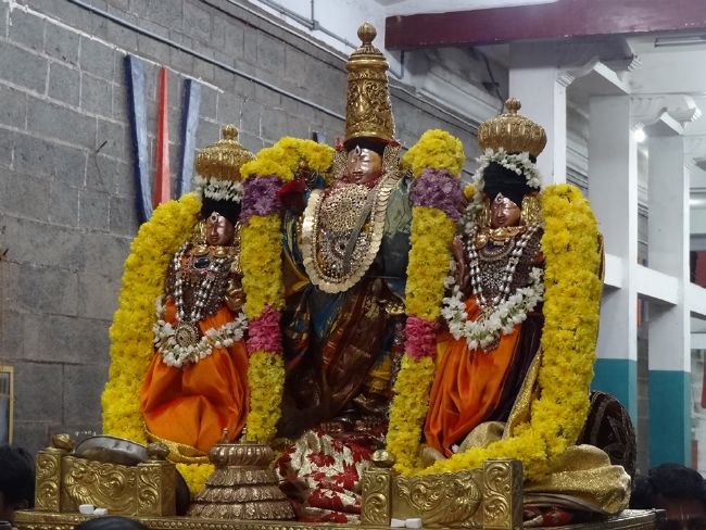Thiruvahindrapuram Sri Devanathan Perumal Temple Makara Sankaranthi Purappadu - 2016-06.jpg