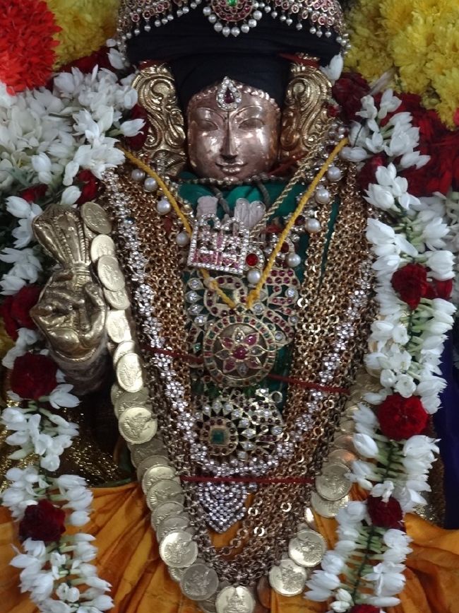 Thiruvahindrapuram Sri Devanathan Perumal Temple Makara Sankaranthi Purappadu - 2016-07.jpg