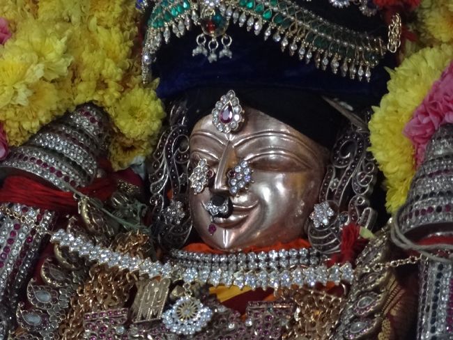 Thiruvahindrapuram Sri Devanathan Perumal Temple Makara Sankaranthi Purappadu - 2016-08.jpg