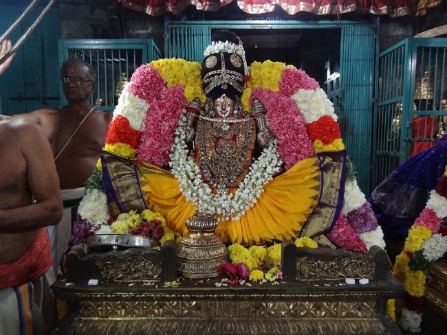 Thiruvahindrapuram Sri Devanathan Perumal Temple Makara Sankaranthi Purappadu - 2016-11.jpg
