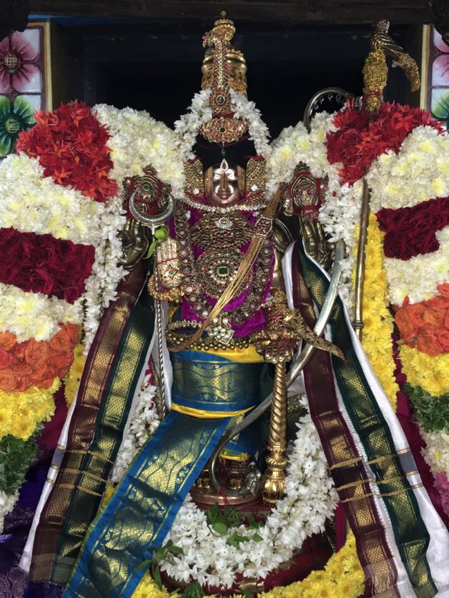 Thiruvahindrapuram-Sri-Devanathan-Perumal_02