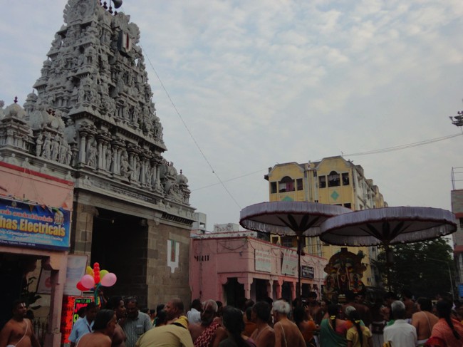 Thiruvallikeni-Sri-Parthasarathy-Swami_05