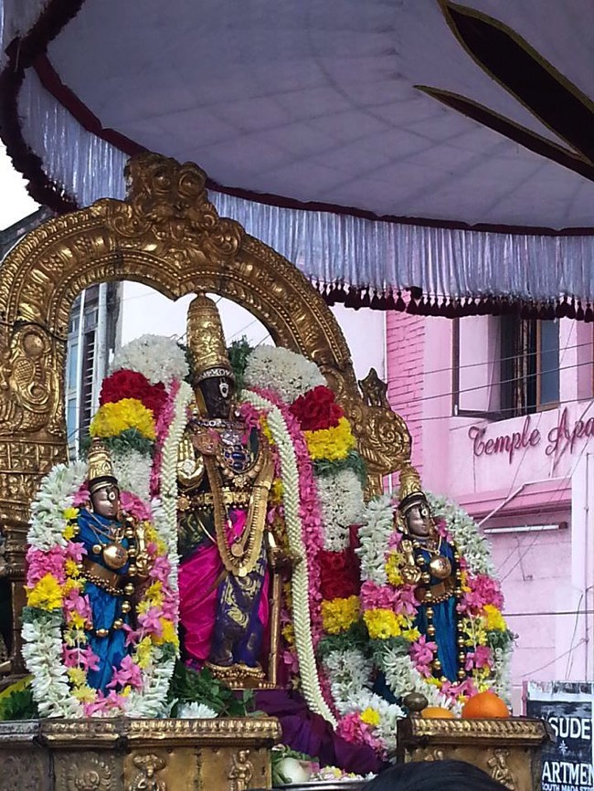 Thiruvallikeni-Sri-Parthasarathy-Swami_07