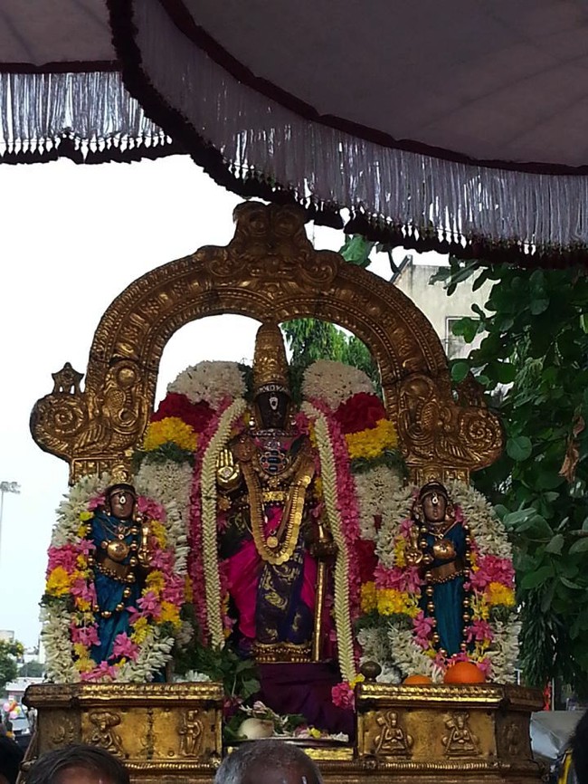 Thiruvallikeni-Sri-Parthasarathy-Swami_08