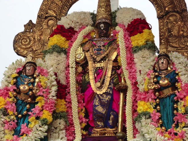 Thiruvallikeni-Sri-Parthasarathy-Swami_19