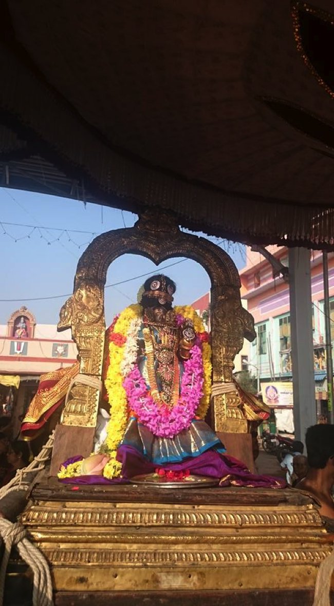 Thiruvallikeni-Sri-Parthasarathy-Swamy_02