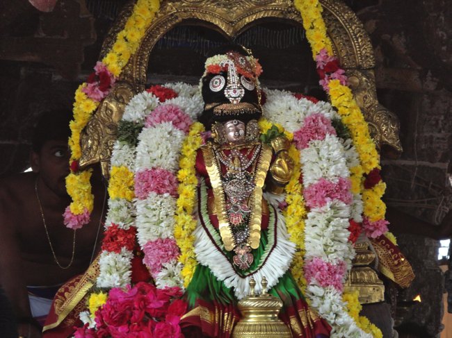 Thiruvallikeni-Sri-Parthasarathy-Swamy_09