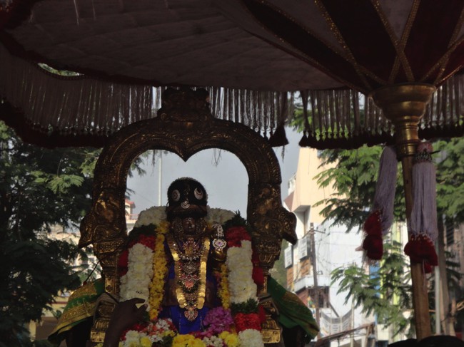 Thiruvallikeni-Sri-Parthasarathy-Swamy_14