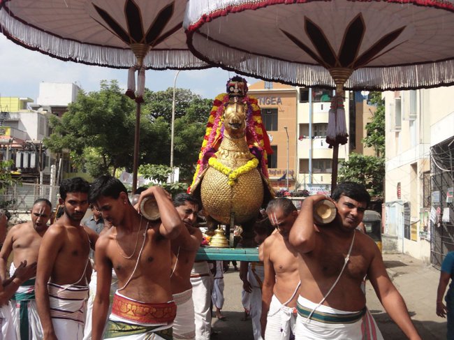 Thiruvallikeni-Sri-Parthasarathy-Swamy_15
