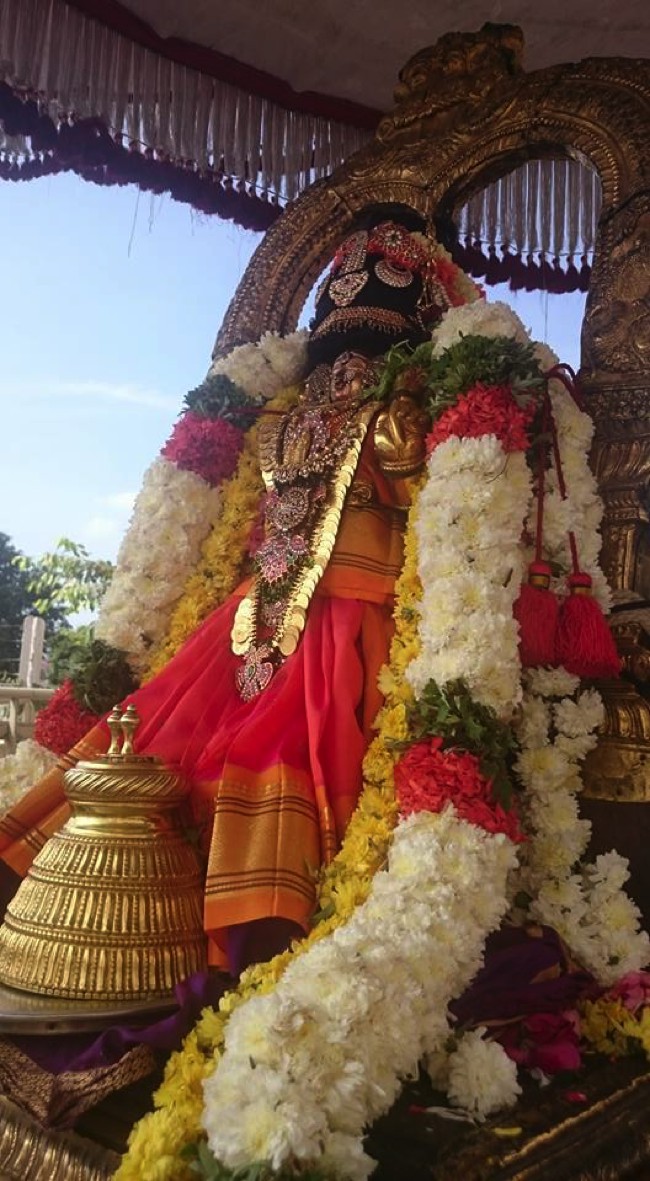 Thiruvallikeni-Sri-Parthasarathy-Swamy_15