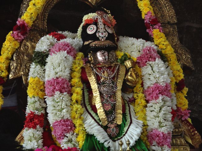 Thiruvallikeni-Sri-Parthasarathy-Swamy_24