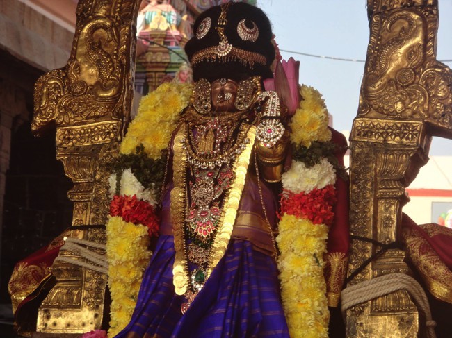 Thiruvallikeni-Sri-Parthasarathy-Swamy_30