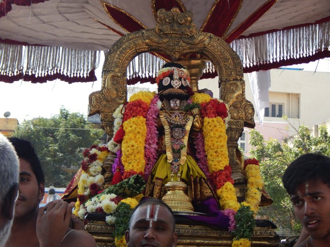 Thiruvallikeni-Sri-Parthasarathy-Swamy_31