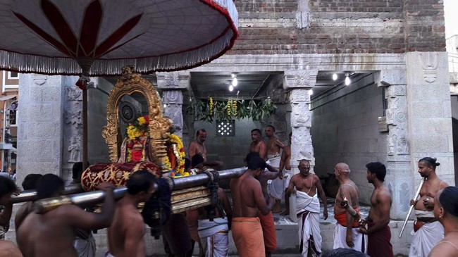 Thiruvallur-Sri-Veeraraghava-Perumal_03