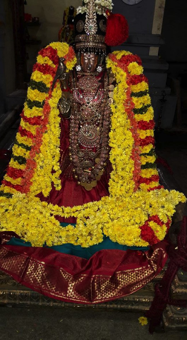 Thiruvallur-Sri-Veeraraghava-Perumal_09