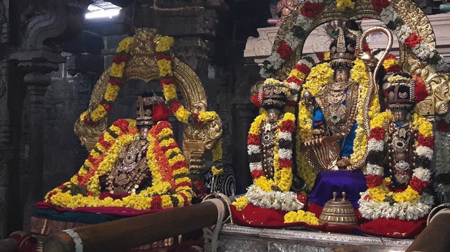 Thiruvallur-Sri-Veeraraghava-Perumal_10