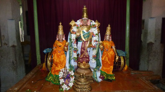 Thoopul-Swami-Desikan_18
