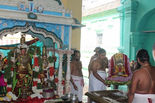 Vaduvur Sri Kothandaramaswamy Temple Manmadha Varusha Thai Theppotsavam16