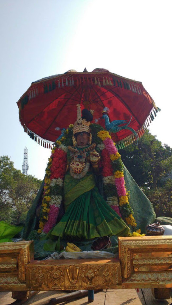 Vaduvur-Sri-Kothandaramaswamy_14
