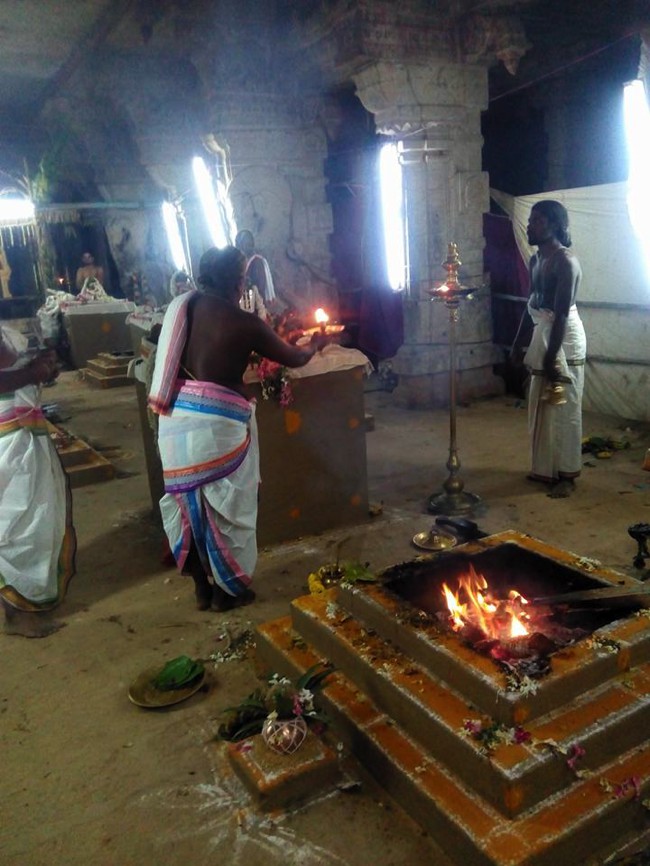Vanamamalai-Sri-Deivanayaga-Perumal_00