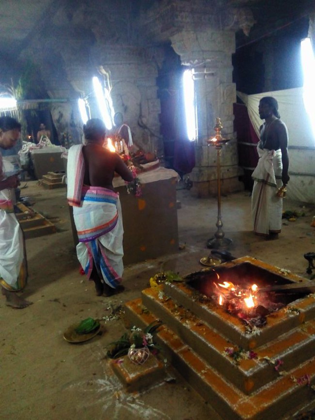 Vanamamalai-Sri-Deivanayaga-Perumal_04