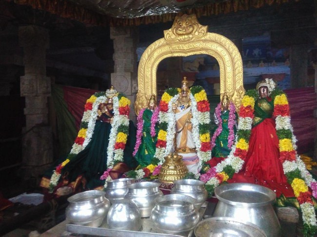 Vanamamalai-Sri-Deivanayaga-Perumal_10