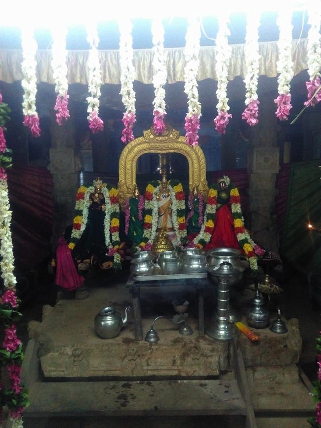 Vanamamalai-Sri-Deivanayaga-Perumal_15