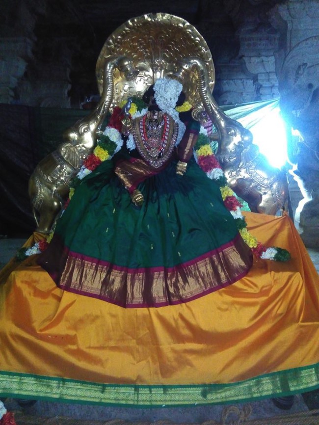 Vanamamalai-Sri-Varamangai_0012