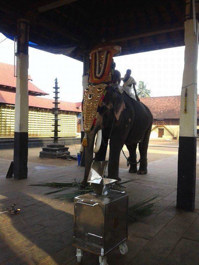 Aranmula-Parthasarathy-Temple_12
