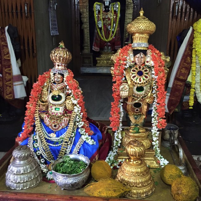 Bangalore-Sripuram-Sri-Venkateswara-Temple_04