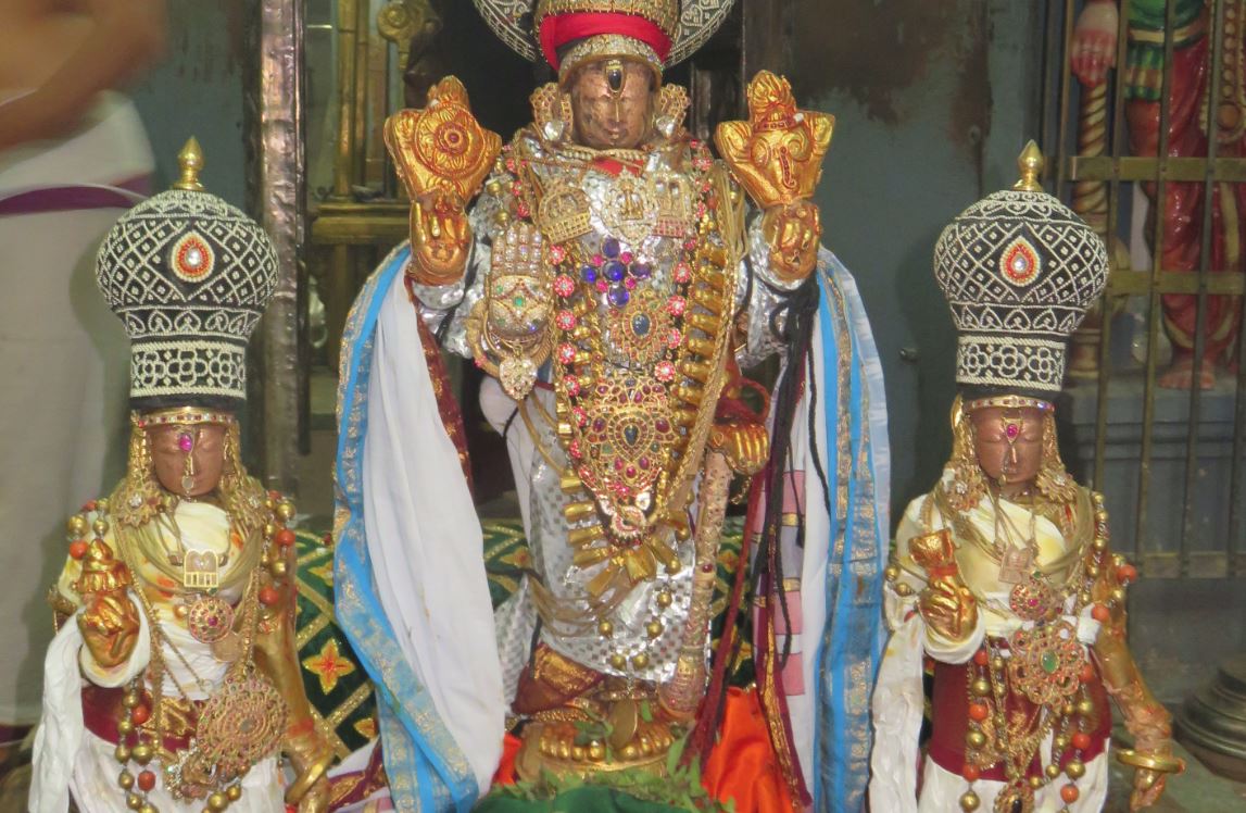 Kanchi Rathasapthami chandra prabhai 2016-2
