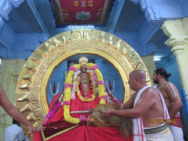 Kanchi Sri Devaperumal Rathasapthamai Surya prabhai purappadu 2016004