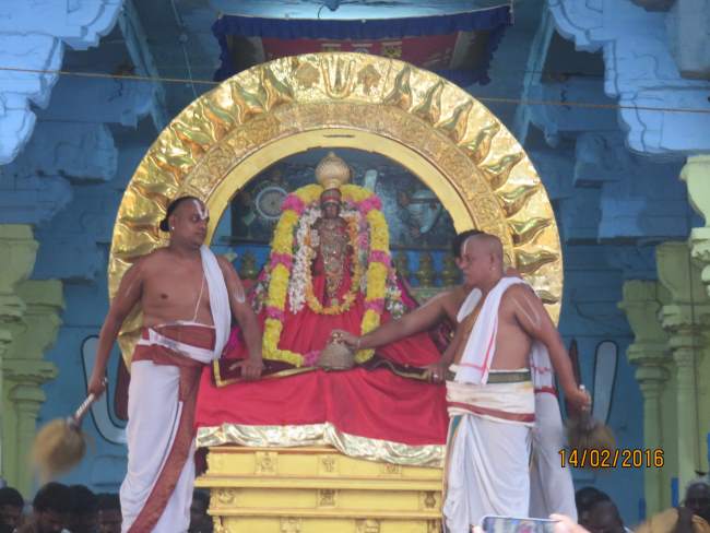 Kanchi Sri Devaperumal Rathasapthamai Surya prabhai purappadu 2016006