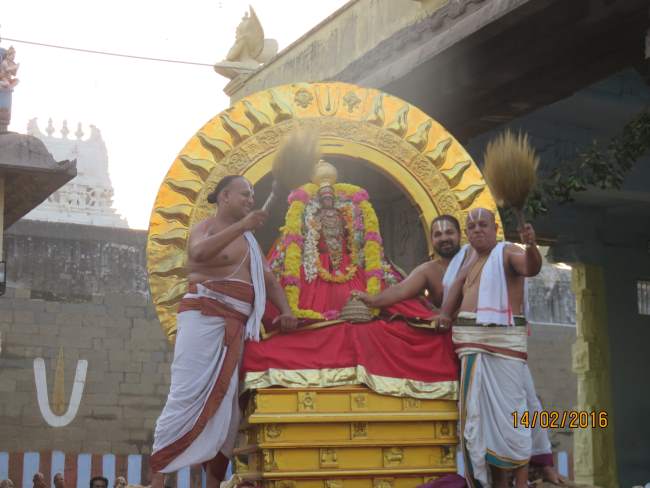 Kanchi Sri Devaperumal Rathasapthamai Surya prabhai purappadu 2016011