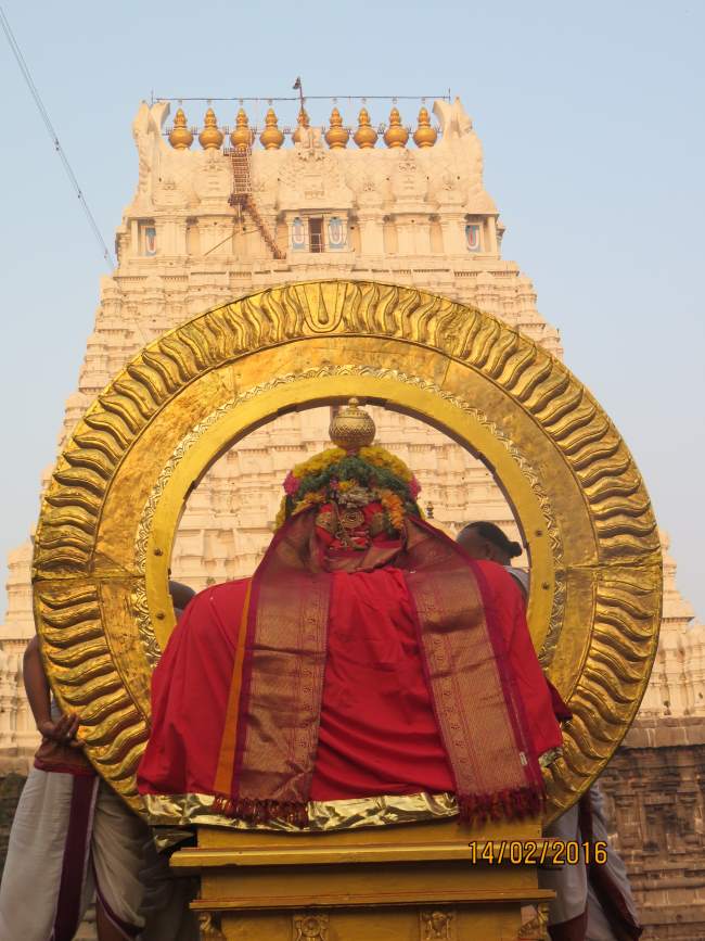 Kanchi Sri Devaperumal Rathasapthamai Surya prabhai purappadu 2016012