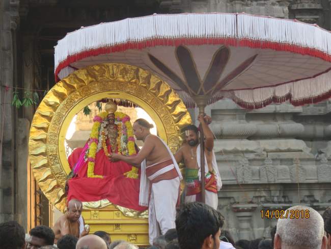 Kanchi Sri Devaperumal Rathasapthamai Surya prabhai purappadu 2016017