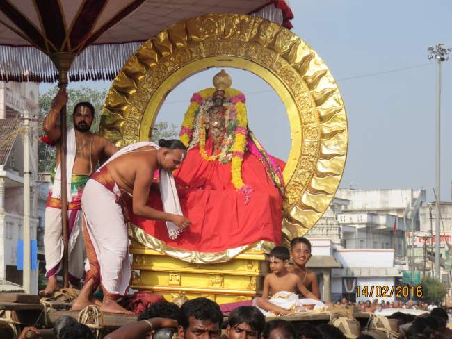 Kanchi Sri Devaperumal Rathasapthamai Surya prabhai purappadu 2016023
