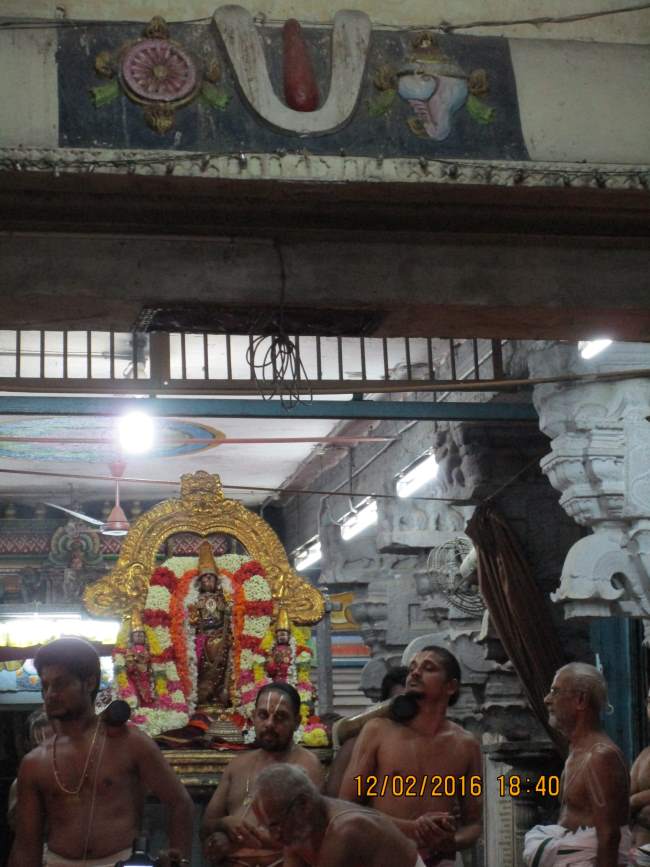Kanchi Sri Devarajaswami temple masi masapirappu purappadu009
