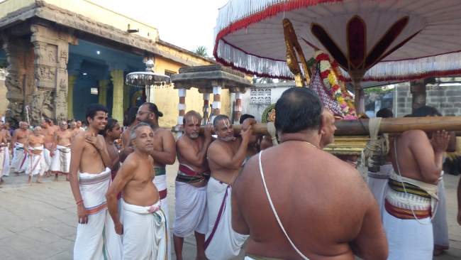 Kanchi Sri Devarajaswami temple masi masapirappu purappadu022