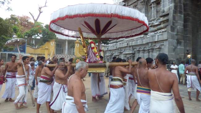 Kanchi Sri Devarajaswami temple masi masapirappu purappadu025